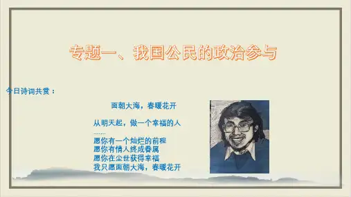 高考思想政治二轮专题复习PPT课件(原文)专题一公民的政治生活