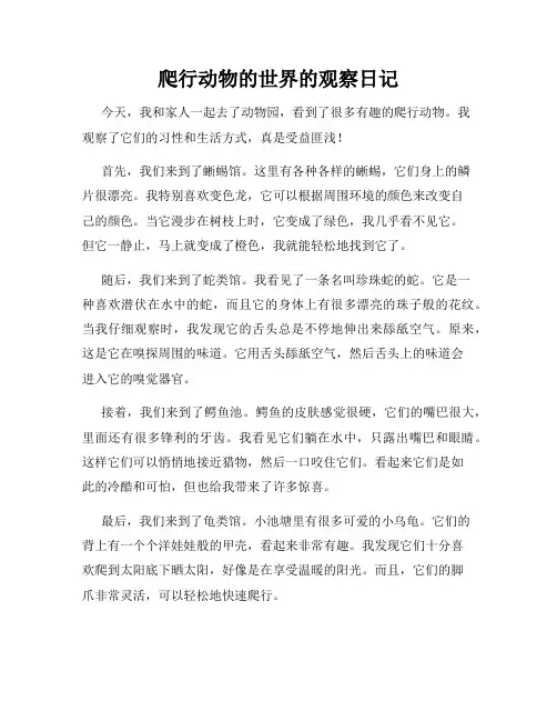 小学三年级作文爬行动物的世界的观察日记