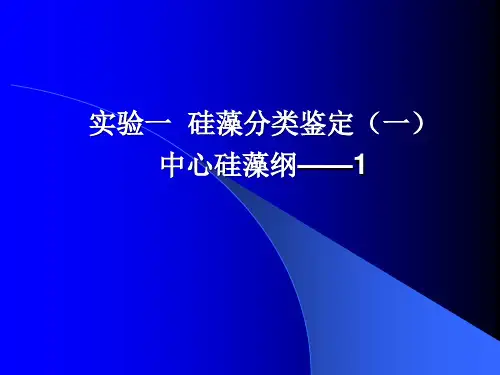 实验一 硅藻分类鉴定(一).