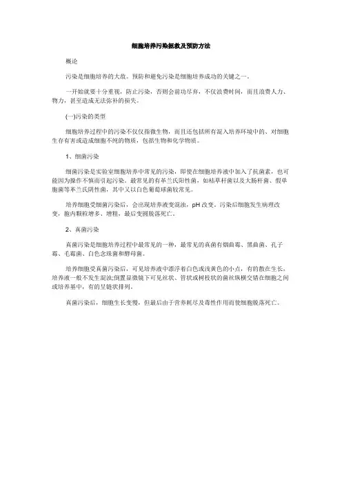 细胞培养污染拯救及预防方法