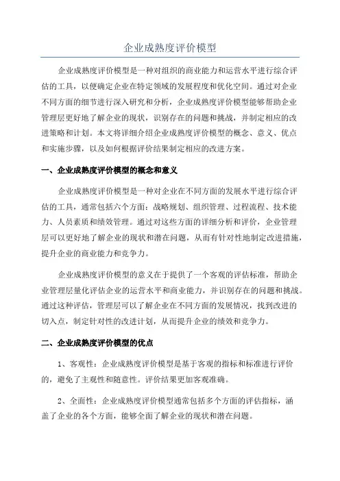 企业成熟度评价模型