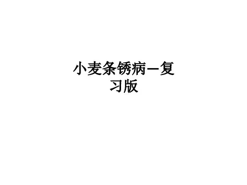 小麦条锈病—复习版ppt课件