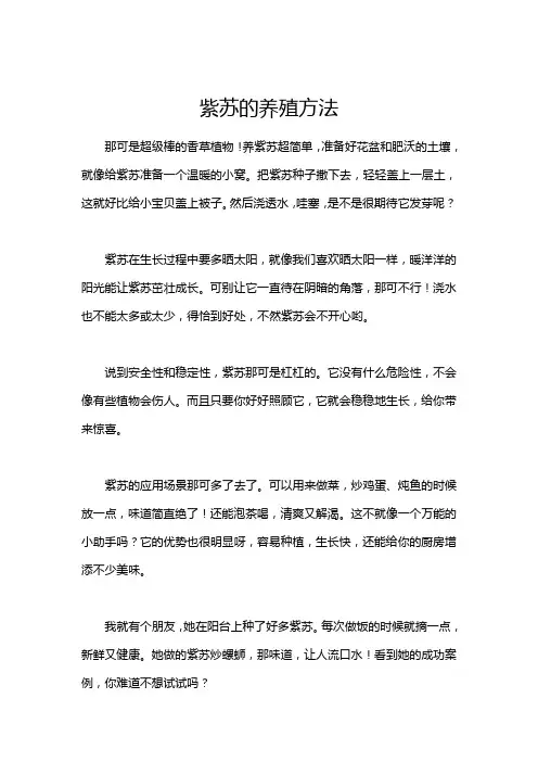 紫苏的养殖方法
