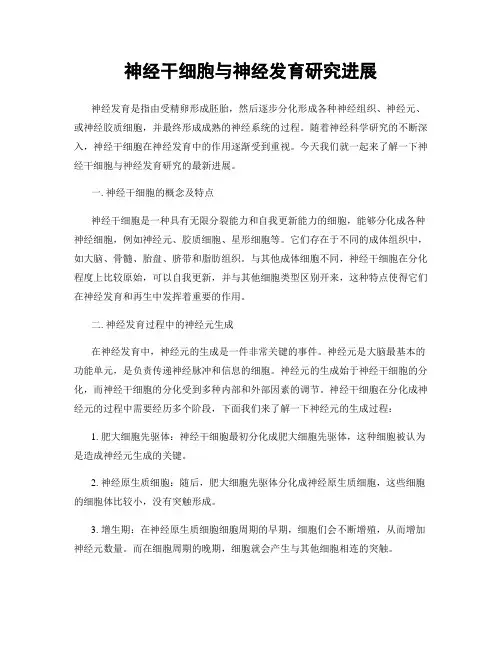 神经干细胞与神经发育研究进展