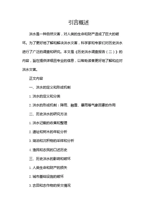 历史洪水调查报告docx