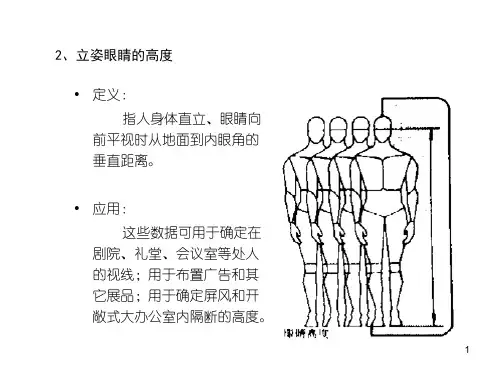 人体常用尺寸解读