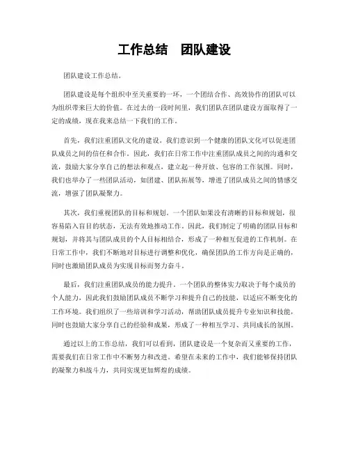 工作总结  团队建设