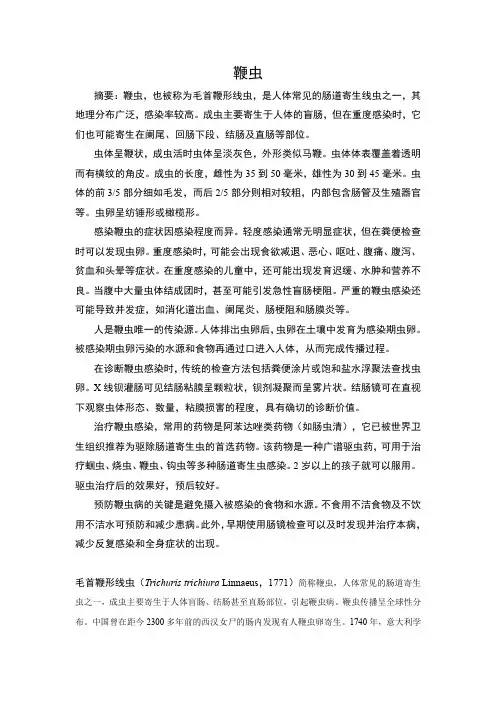 鞭虫知识科普