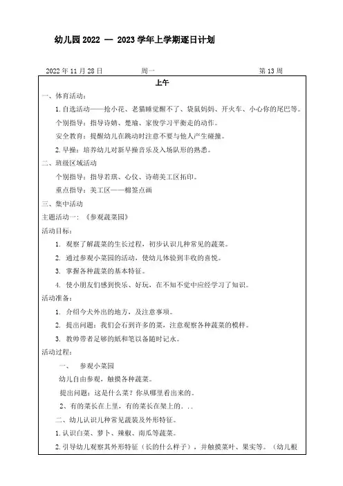 幼儿园小班第13周逐日计划