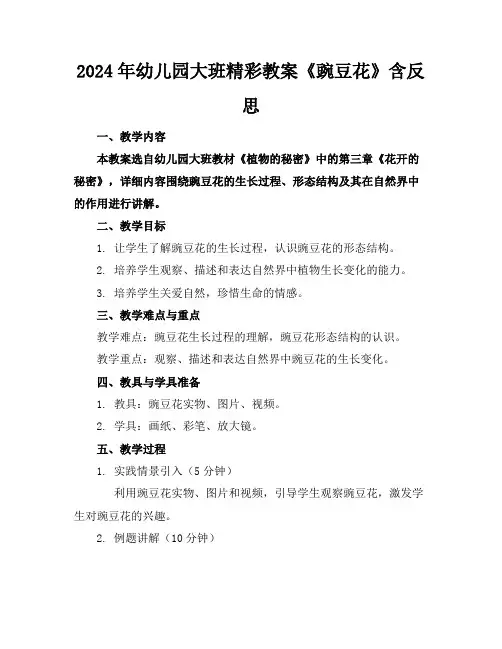 2024年幼儿园大班精彩教案《豌豆花》含反思