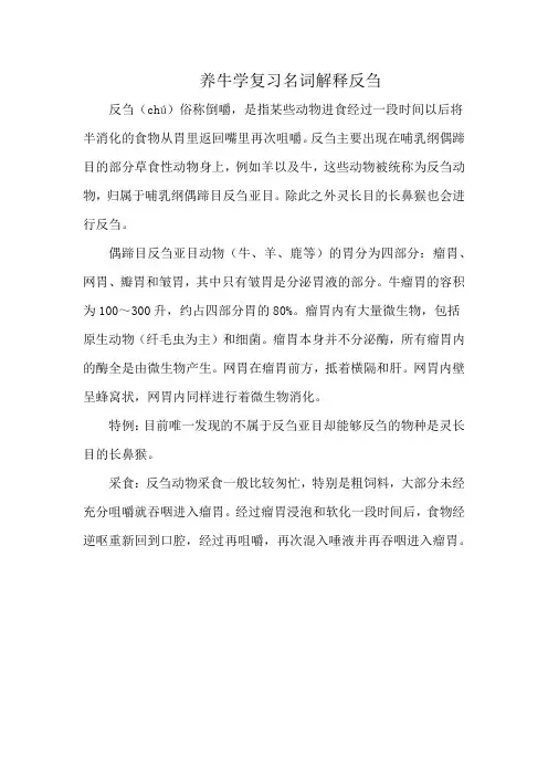 养牛学复习名词解释反刍