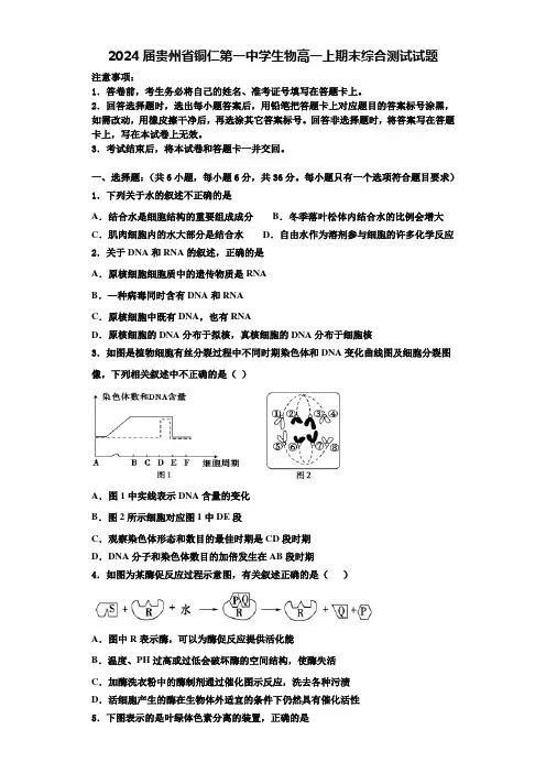 2024届贵州省铜仁第一中学生物高一上期末综合测试试题含解析