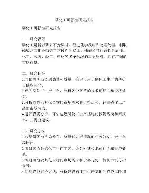 磷化工可行性研究报告