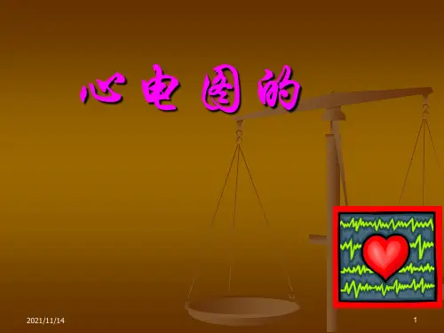 心电图基本知识课件