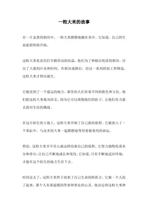 一粒大米的故事