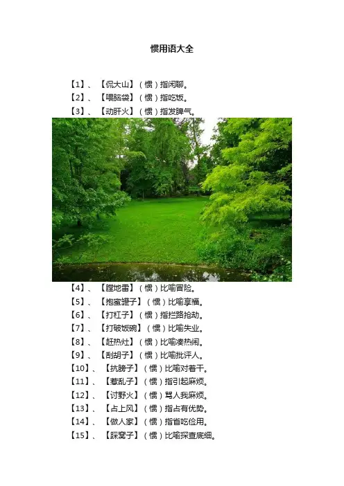 惯用语大全