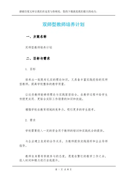 双师型教师培养计划
