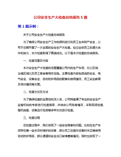 公司安全生产大检查总结报告5篇