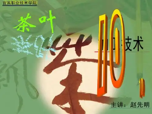 cy2-3鲜叶C