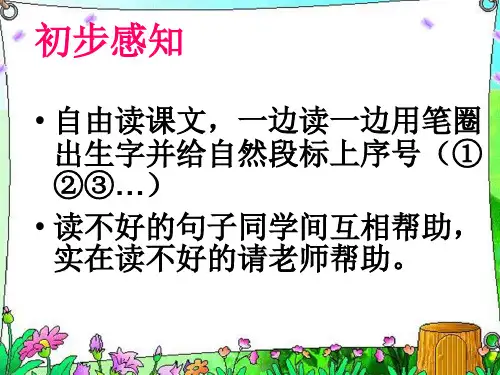 11美丽的小路ppt[精选文档]