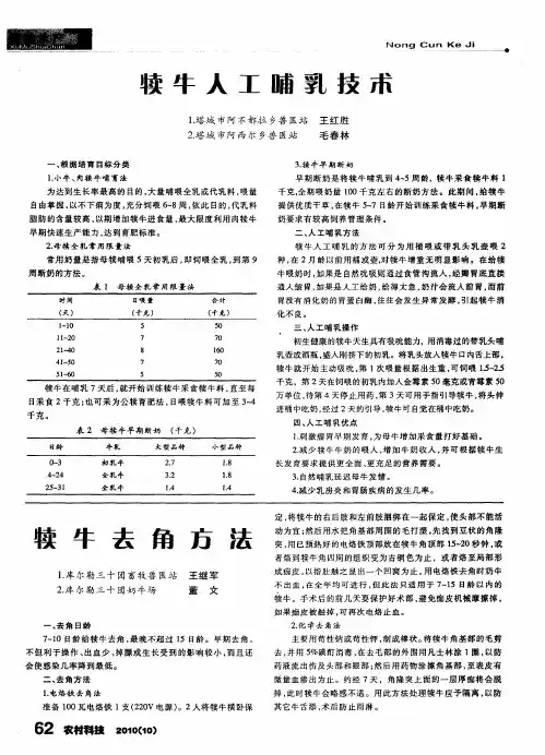 犊牛人工哺乳技术