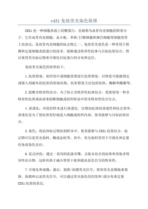 cd31免疫荧光染色原理