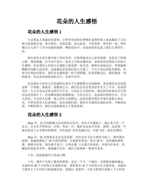 花朵的人生感悟