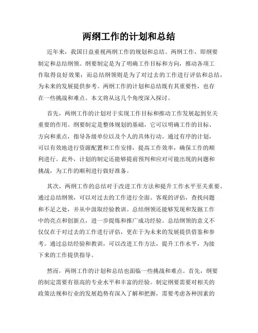 两纲工作的计划和总结