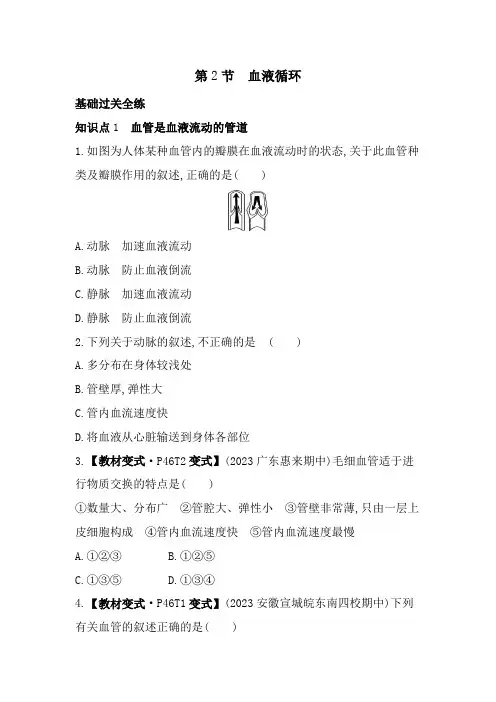 4.9.2 血液循环素养提升练习(含解析)北师大版七年级下册生物