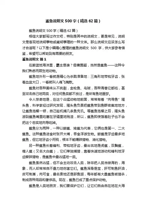 鲨鱼说明文500字（精选62篇）