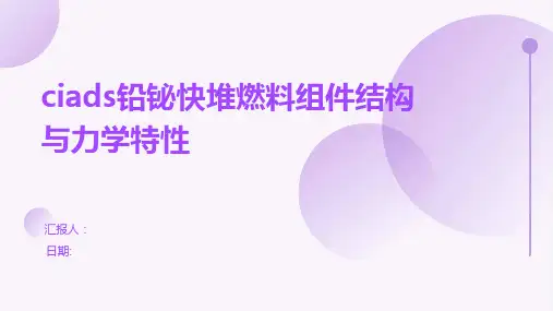 CiADS铅铋快堆燃料组件结构与力学特性