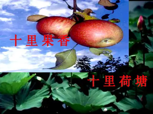 人教版初中化学九下11.2 化学肥料 课件 _9优秀课件