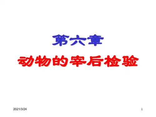 第六章宰后检验