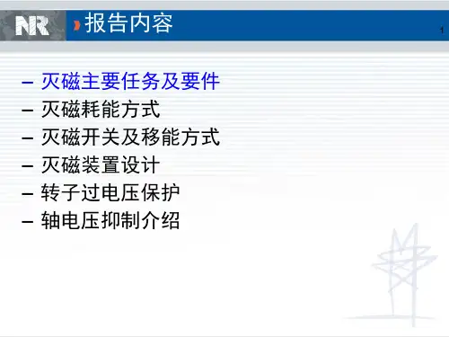 发电机灭磁及过电压保护介绍NR模板ppt课件