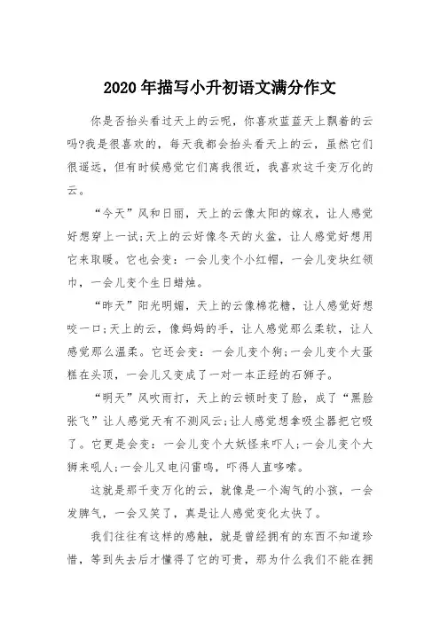 2020年描写小升初语文满分作文