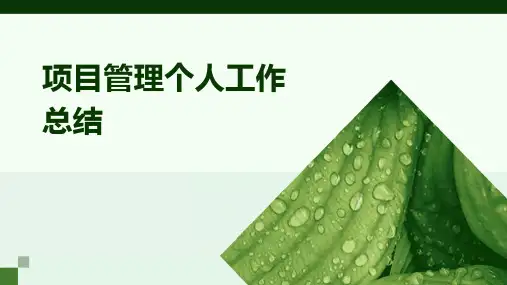 项目管理个人工作总结PPT
