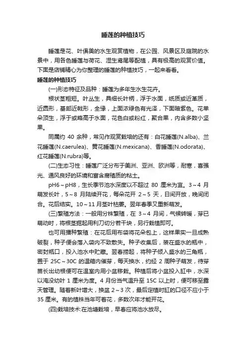 睡莲的种植技巧