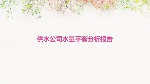 供水公司水量平衡分析报告