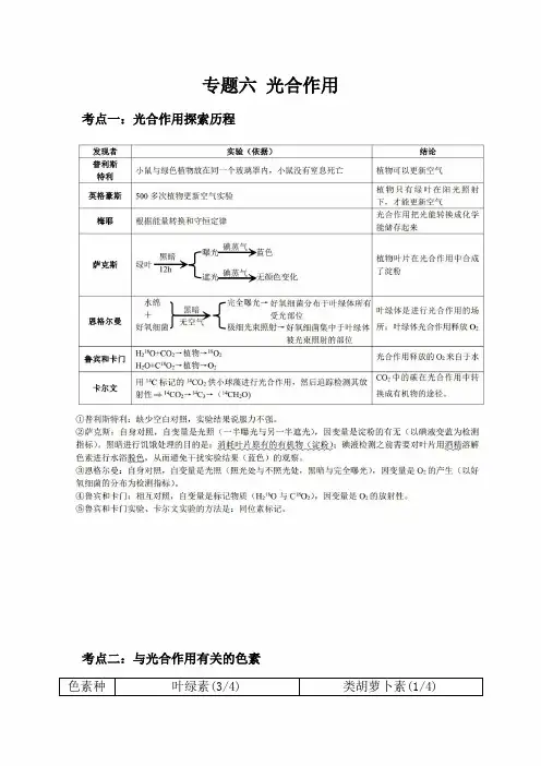 2020年高考生物必修必考知识详细解读讲义：专题六 光合作用