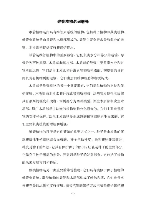 维管植物名词解释