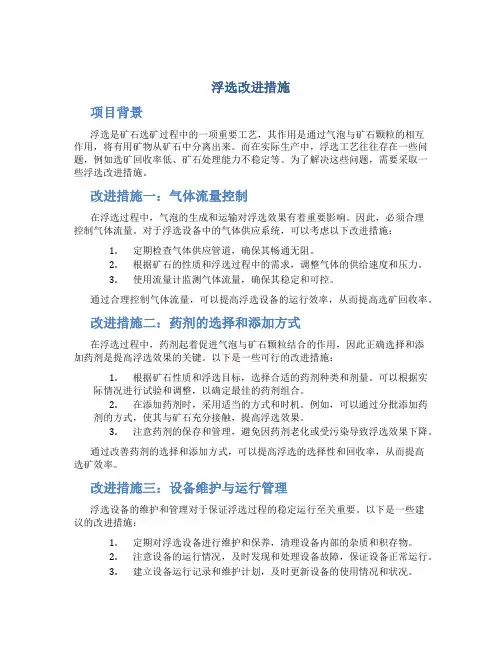 浮选改进措施