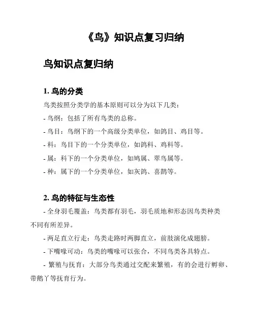 《鸟》知识点复习归纳