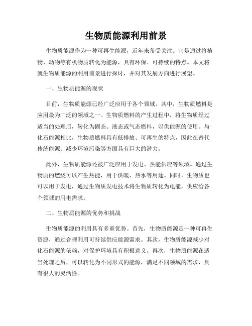 生物质能源利用前景