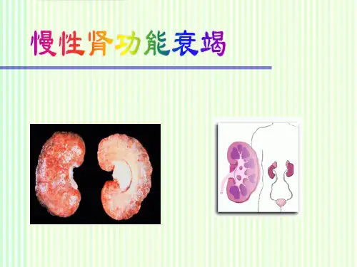 内科学慢性肾功能衰竭培训课件