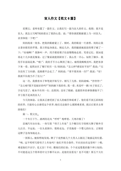 精选盲人作文【范文6篇】