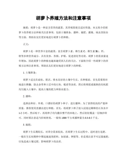 胡萝卜养殖方法和注意事项