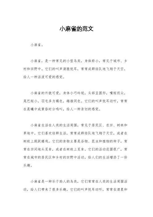 小麻雀的范文