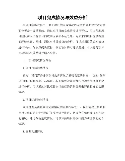 项目完成情况与效益分析