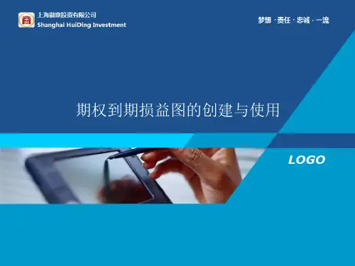 期权到期损益图的创建与使用