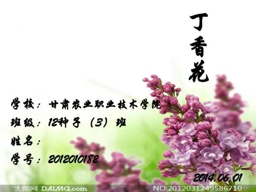 丁香花_雅芳